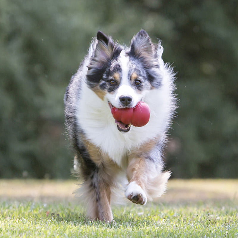Kong Red Classic - HT Animal Supply