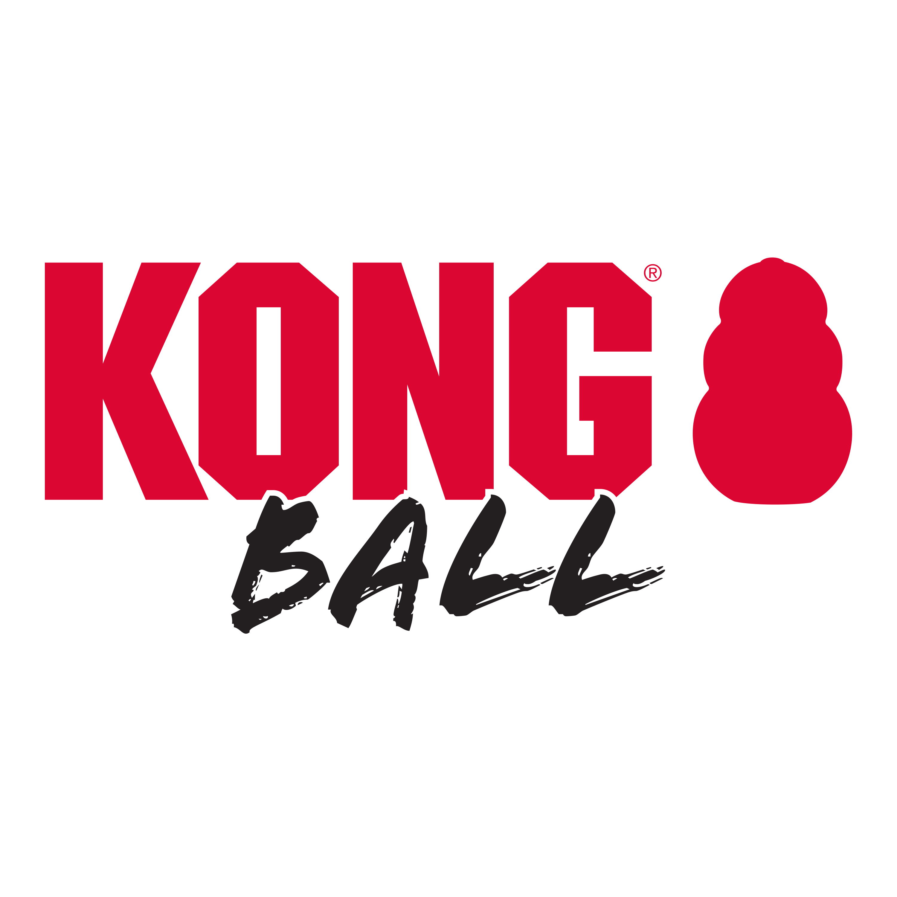 Kong Extreme Ball - HT Animal Supply