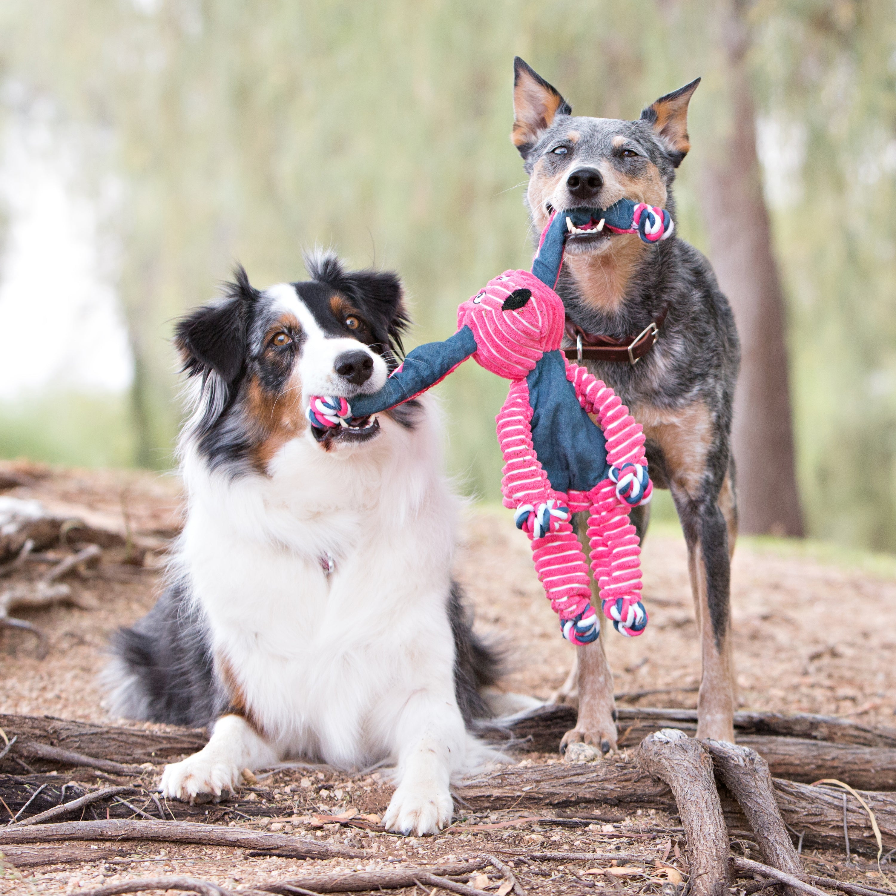 Kong Floppy Knots Fox Small/Medium - HT Animal Supply
