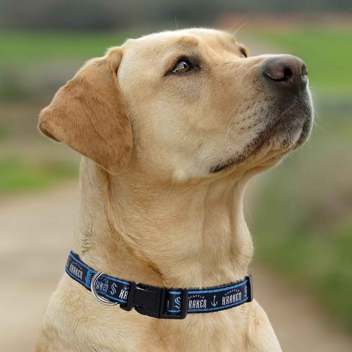 Seattle Kraken Satin Collar