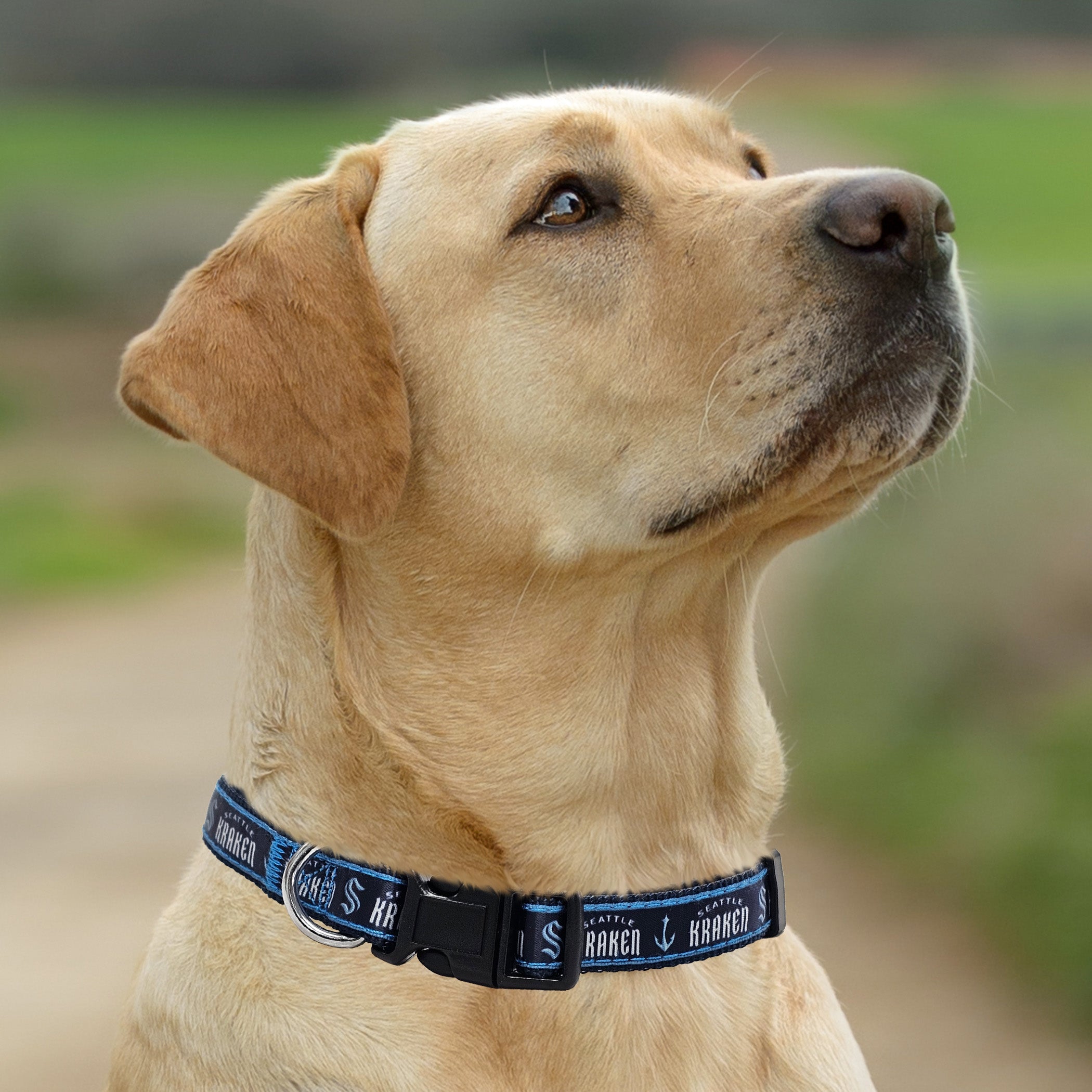Seattle Kraken Satin Collar