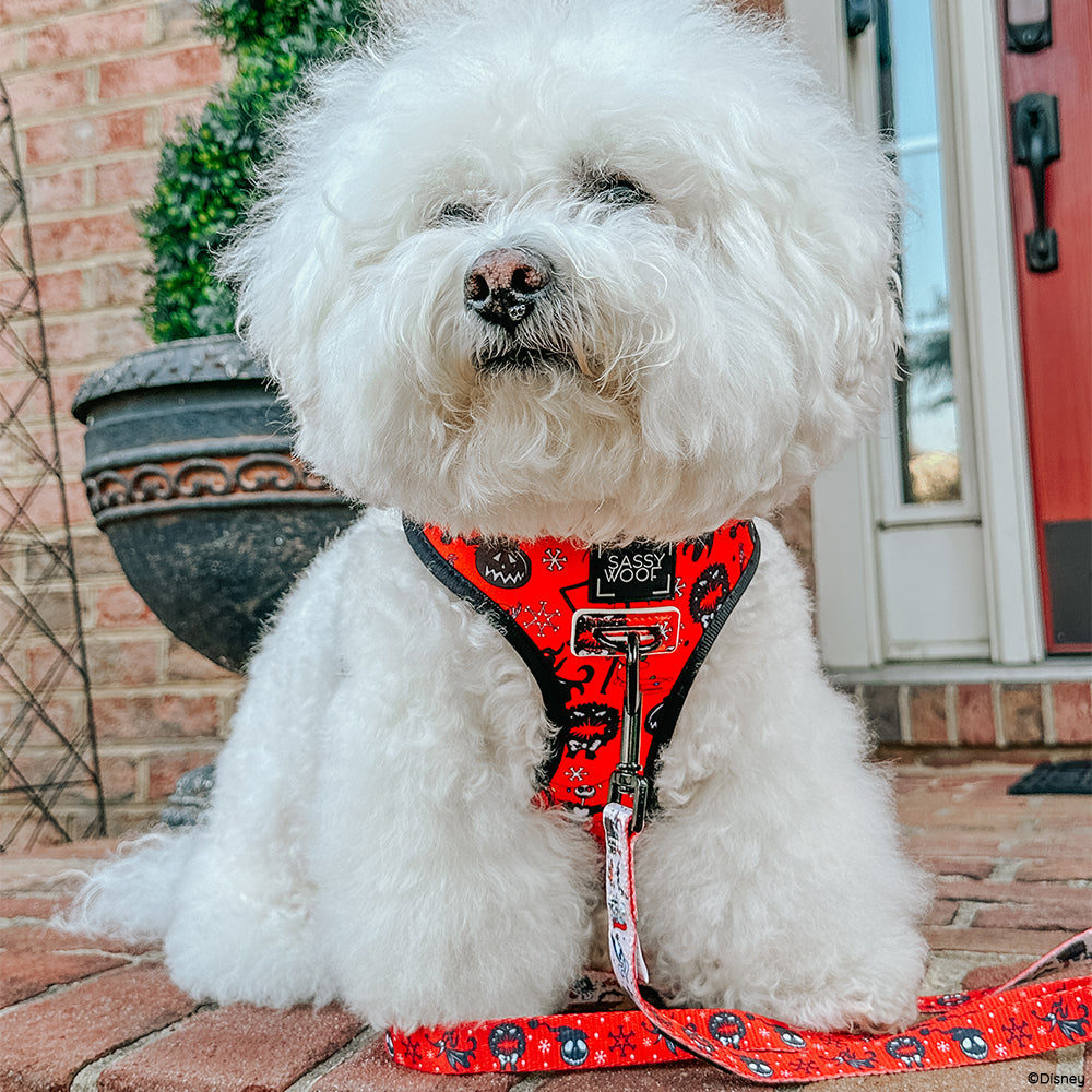 Dog Collar - The Nightmare Before Christmas™ (Red)