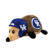 KENTUCKY PLUSH HEDGEHOG TOY