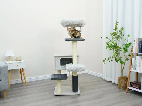 Kasio Modern and Minimalistic Cat Tree