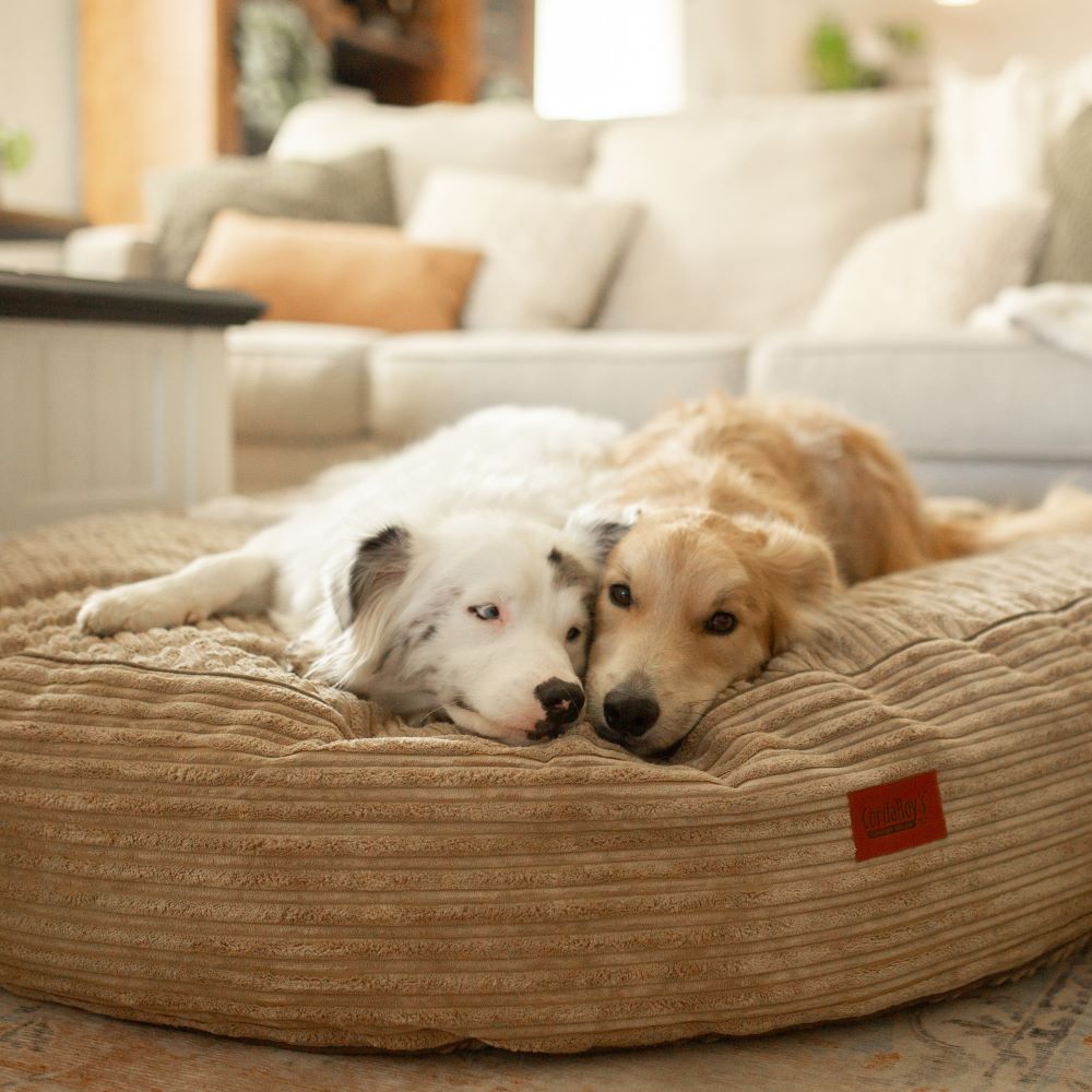 CordaRoys 50-Inch Waterproof Terry Corduroy Dog Bed | HT Animal Supply