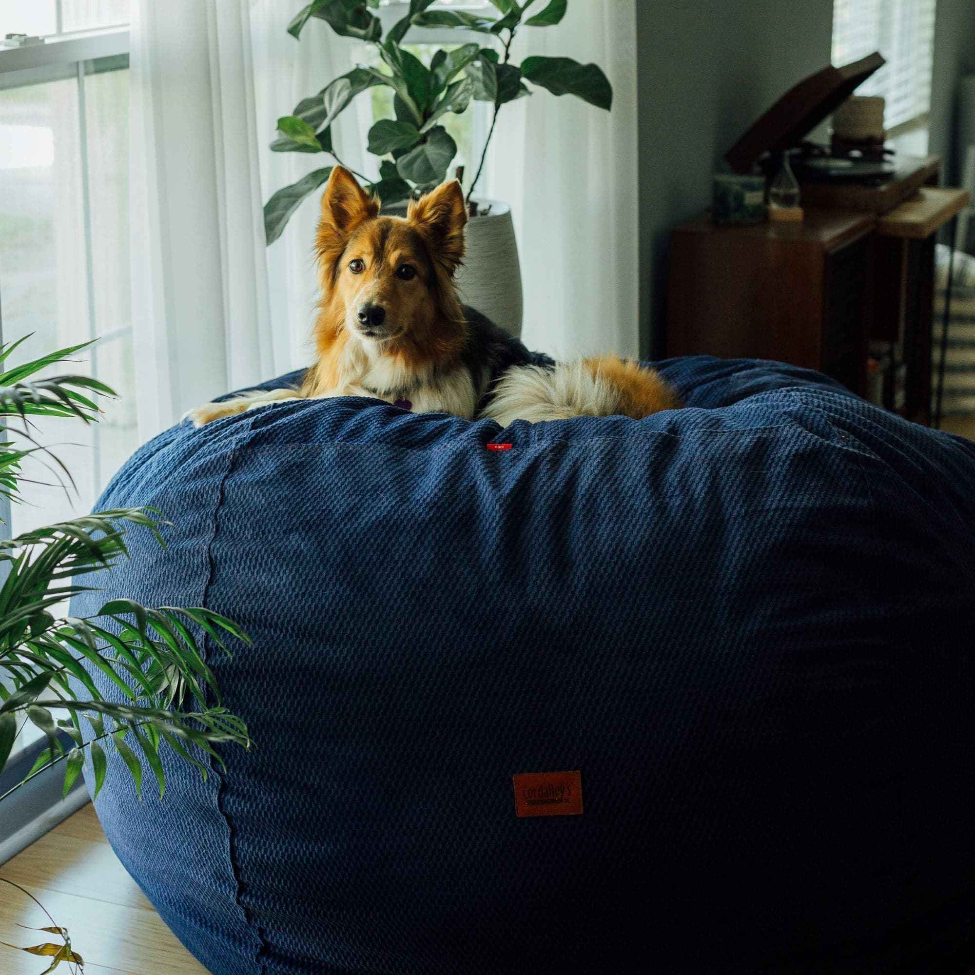 CordaRoy's King Chenille Convertible Bean Bag Chair