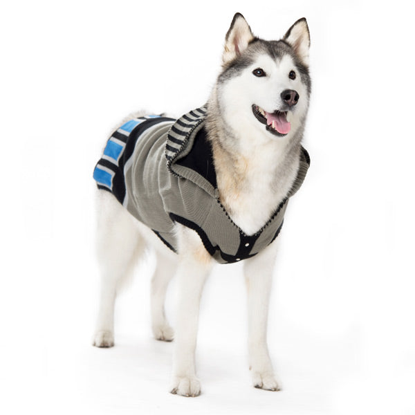 DOGO Knight Dog Sweater