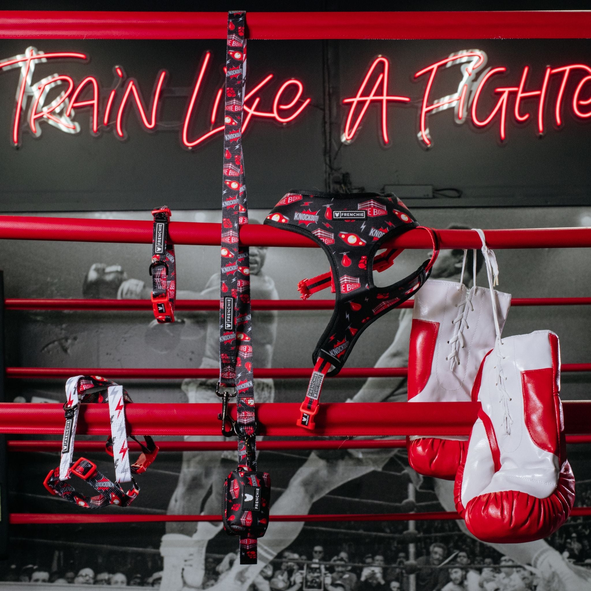 Frenchie Duo Reversible Harness - Knockout