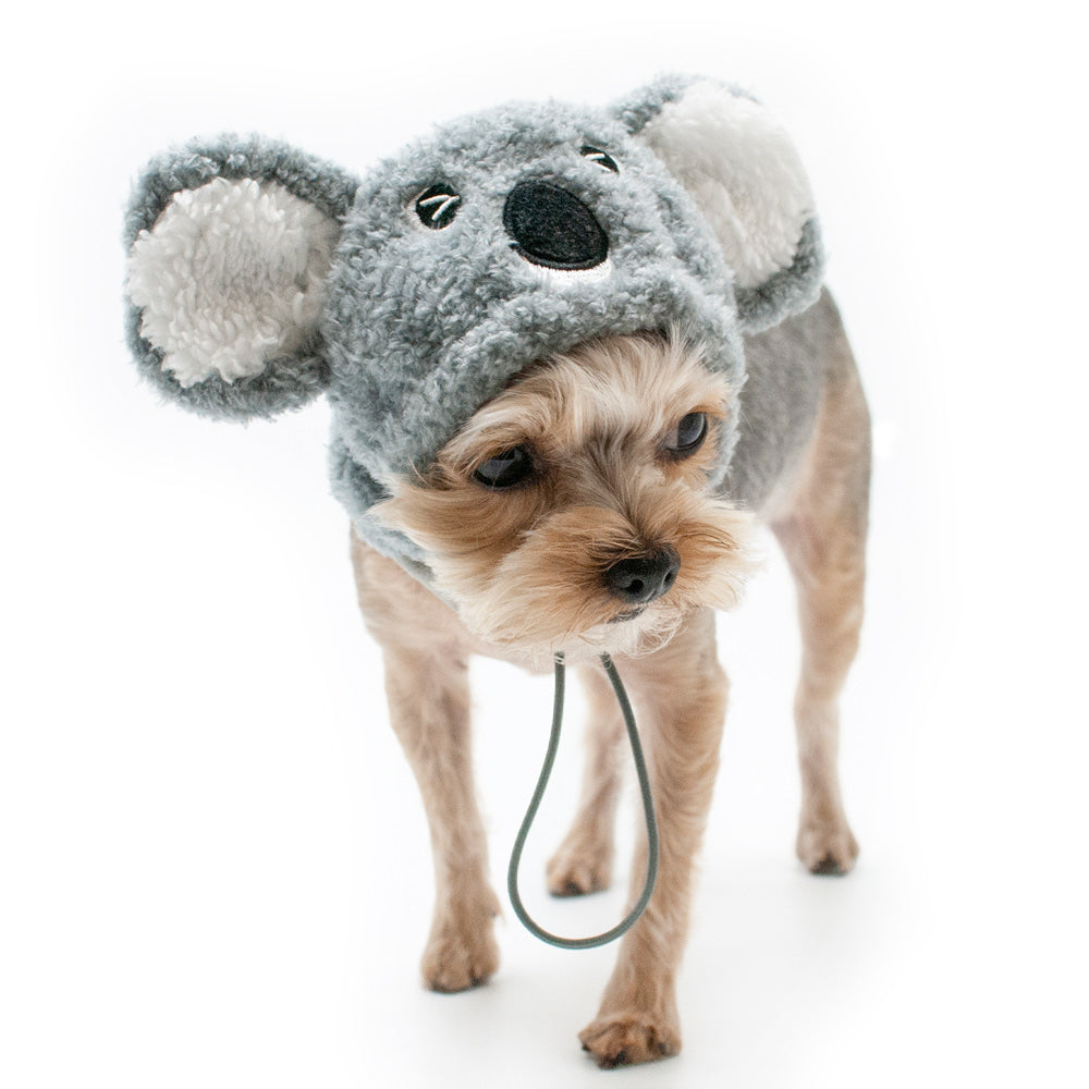 DOGO Koala Dog Costume Hat