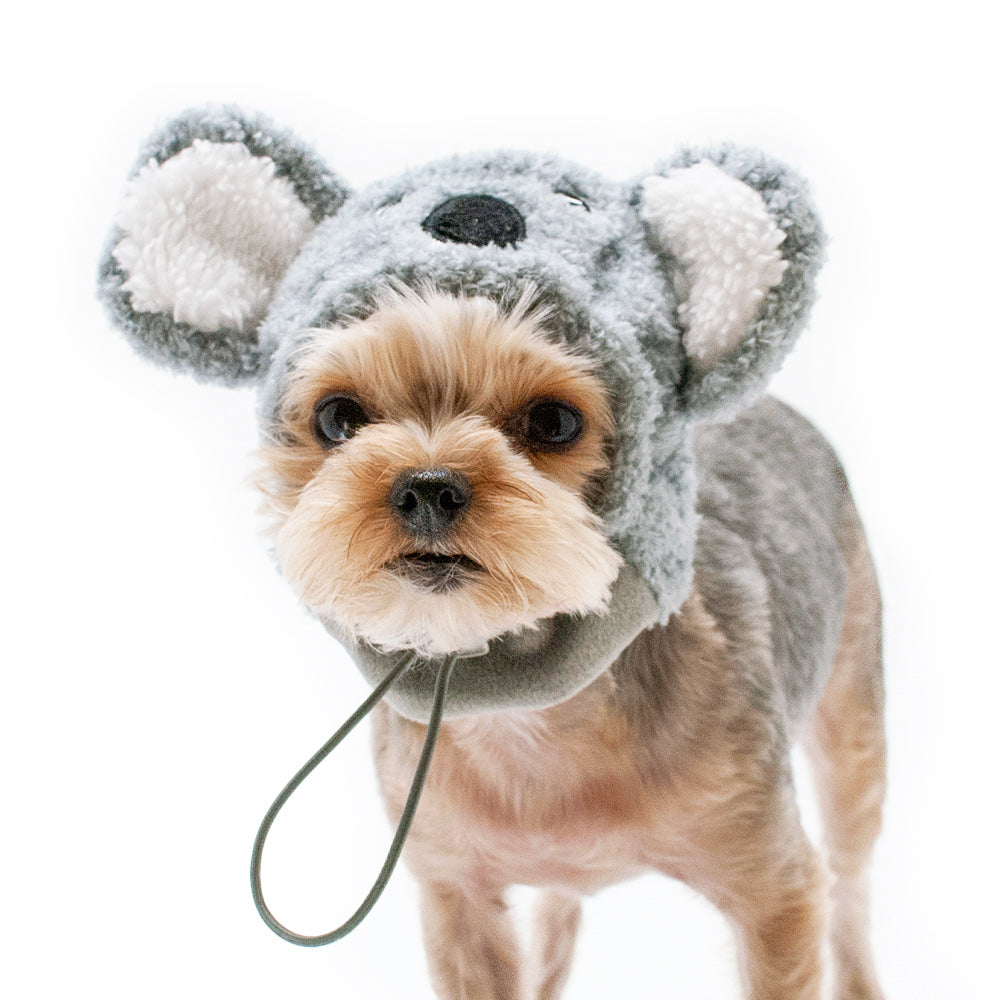 DOGO Koala Dog Costume Hat