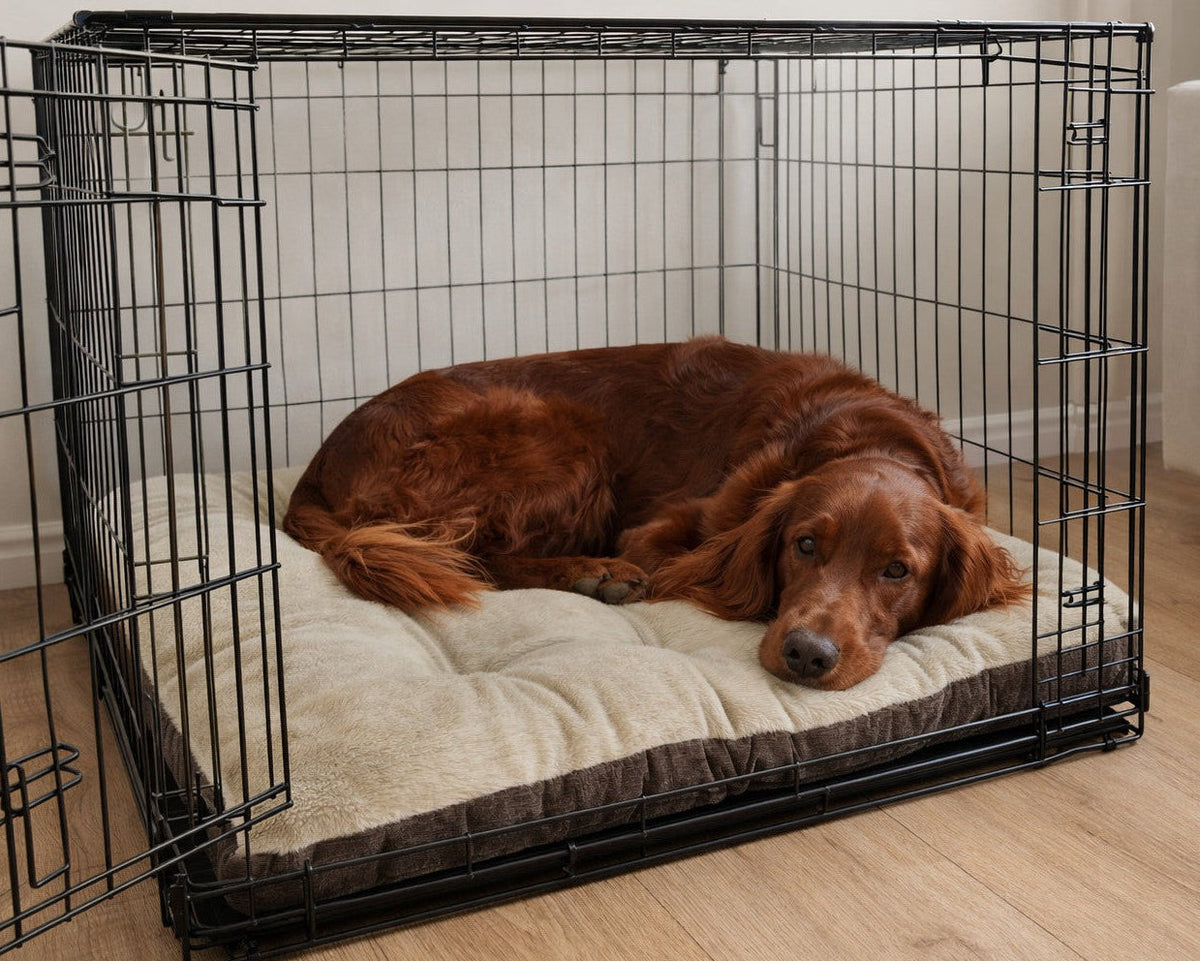 Bowsers Dream Futon Dog Bed - Cloud-Like Cushioning for Stretch-Out Sleep