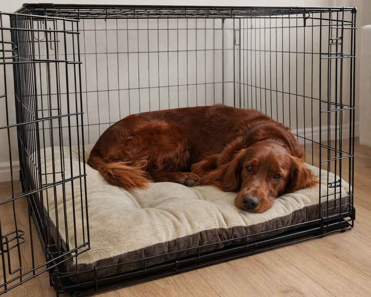 Bowsers Dream Futon Dog Bed – Cloud-Like Cushioning for Stretch-Out Sleep