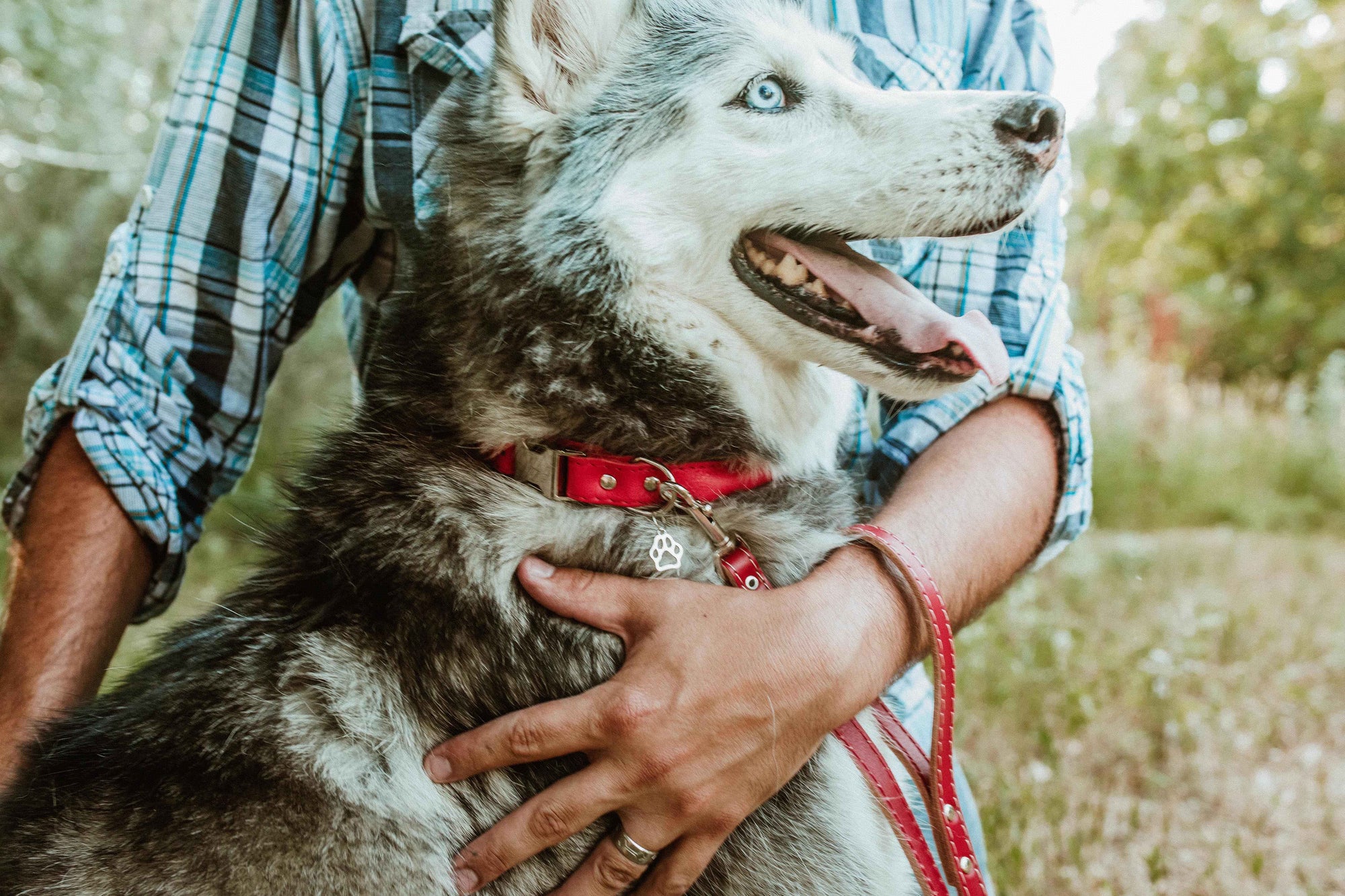 Euro-Dog Rolled Leather Quick-Release Dog Collar