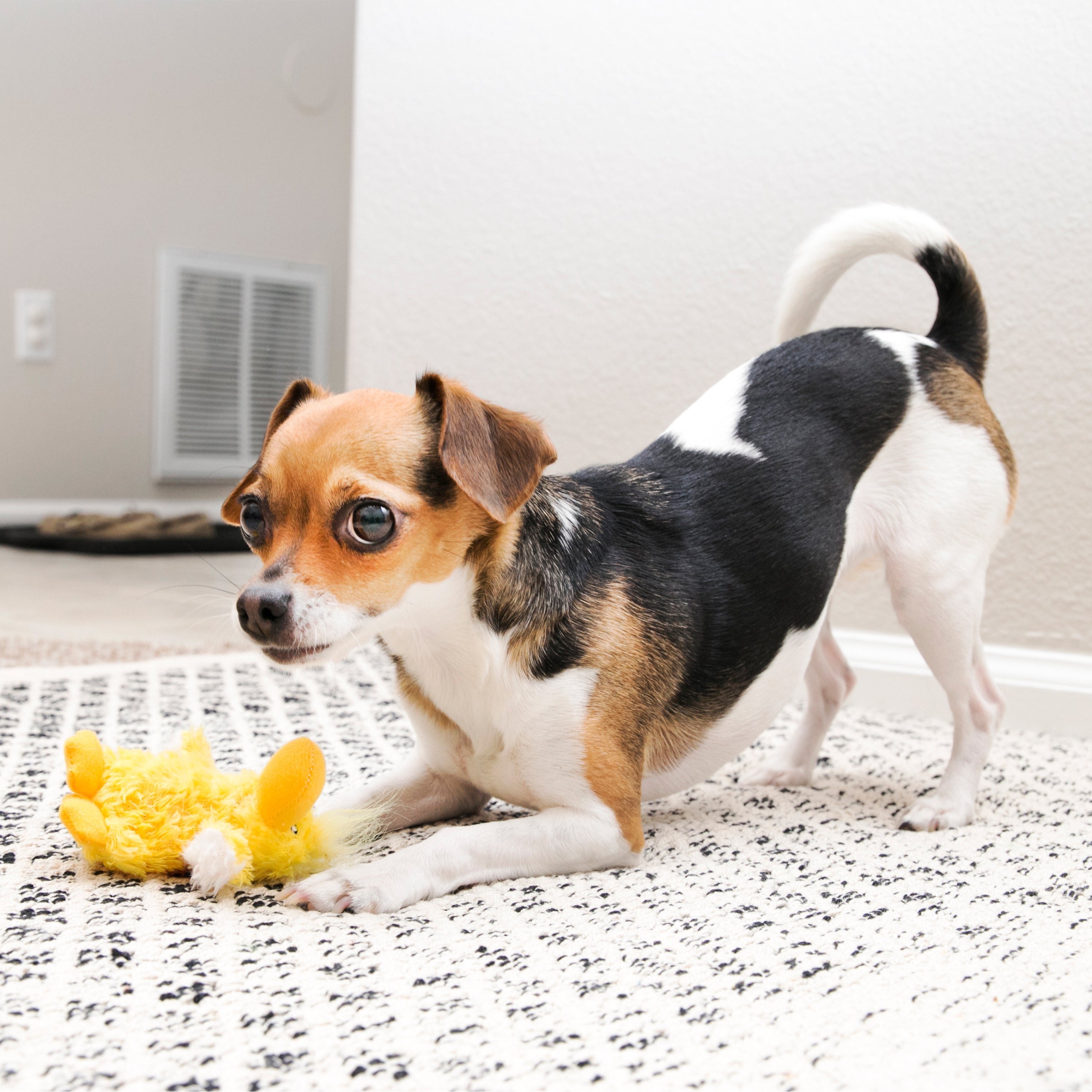 Kong Dr. Noyz Duck X-Small - HT Animal Supply