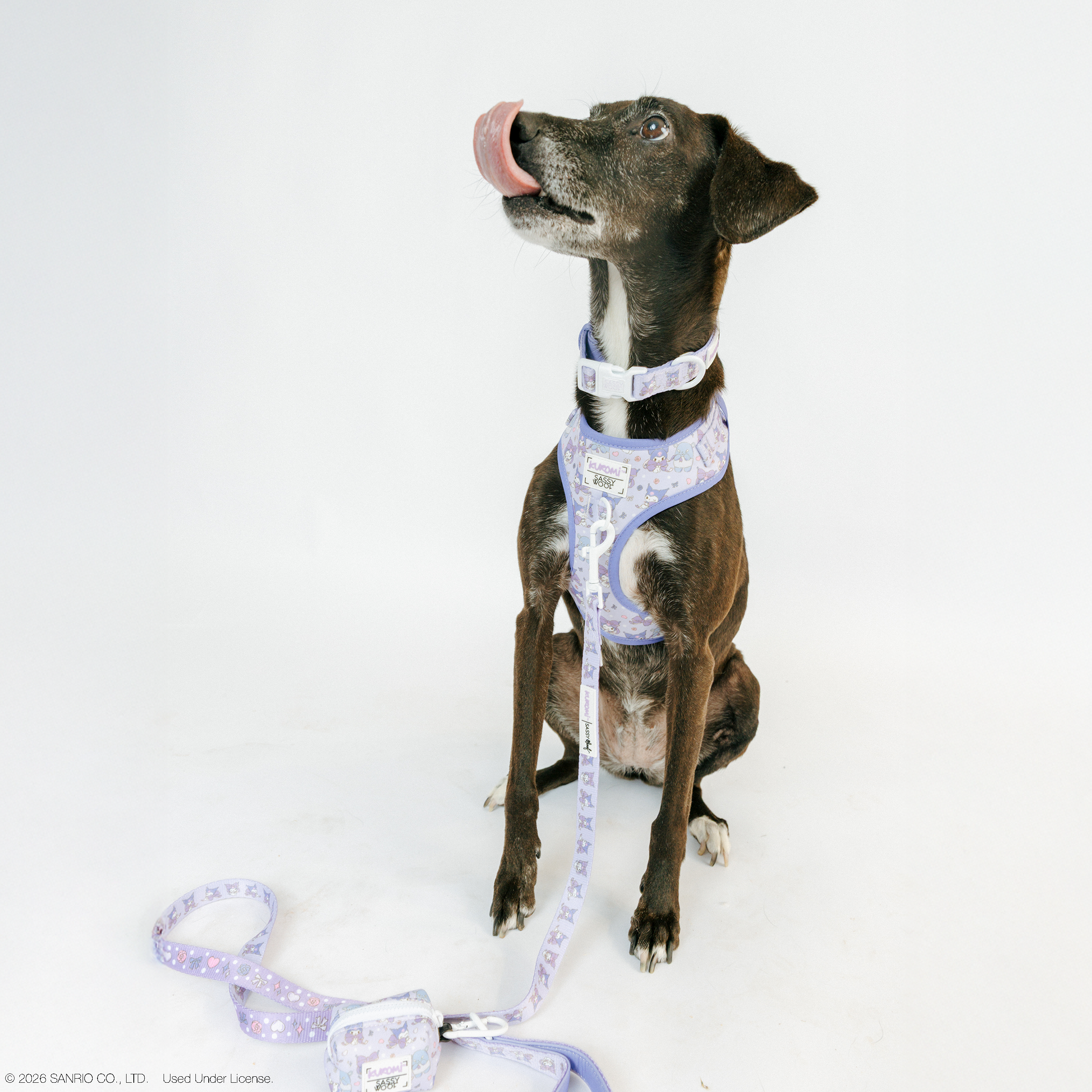 Dog Adjustable Harness - Kuromi™