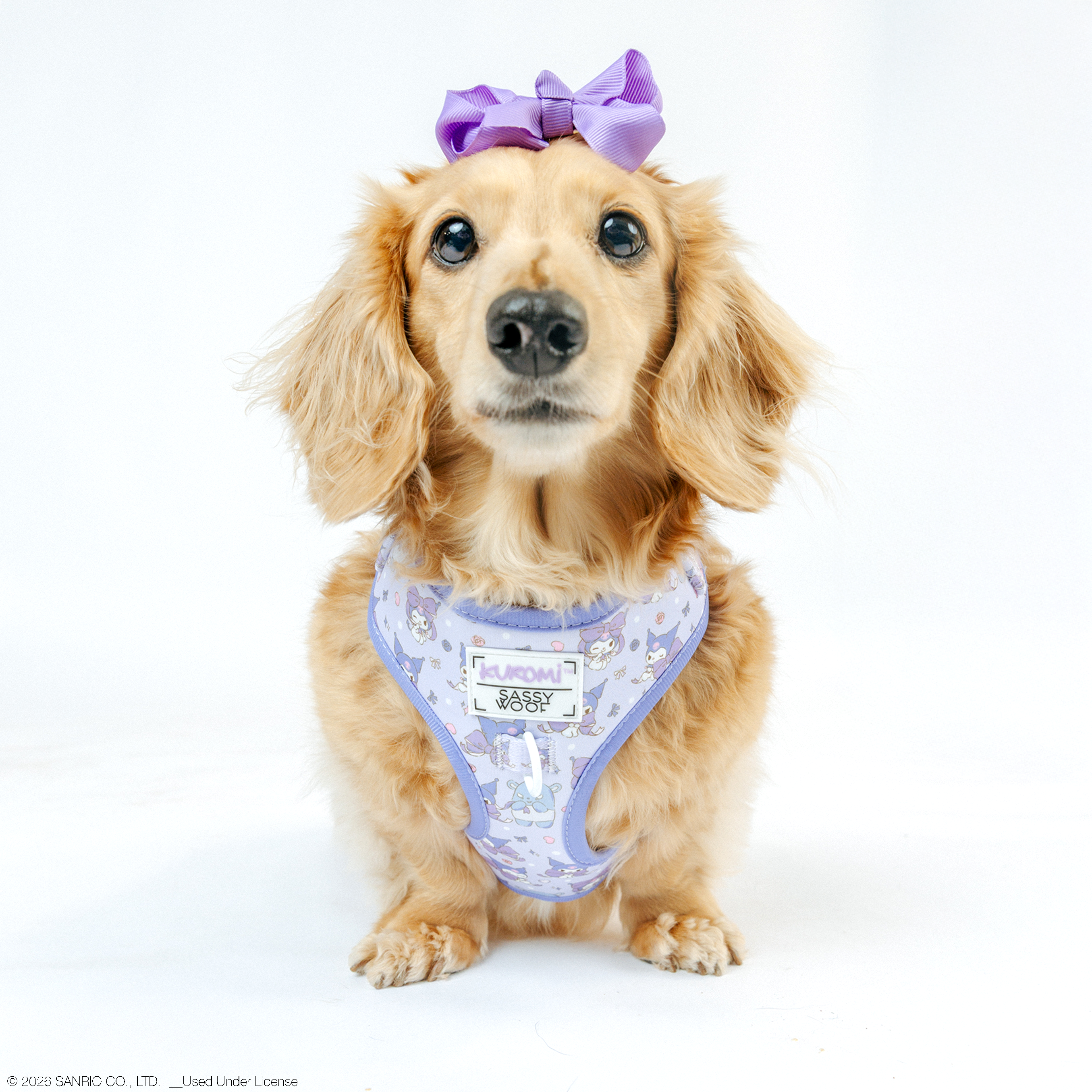 Dog Adjustable Harness - Kuromi™