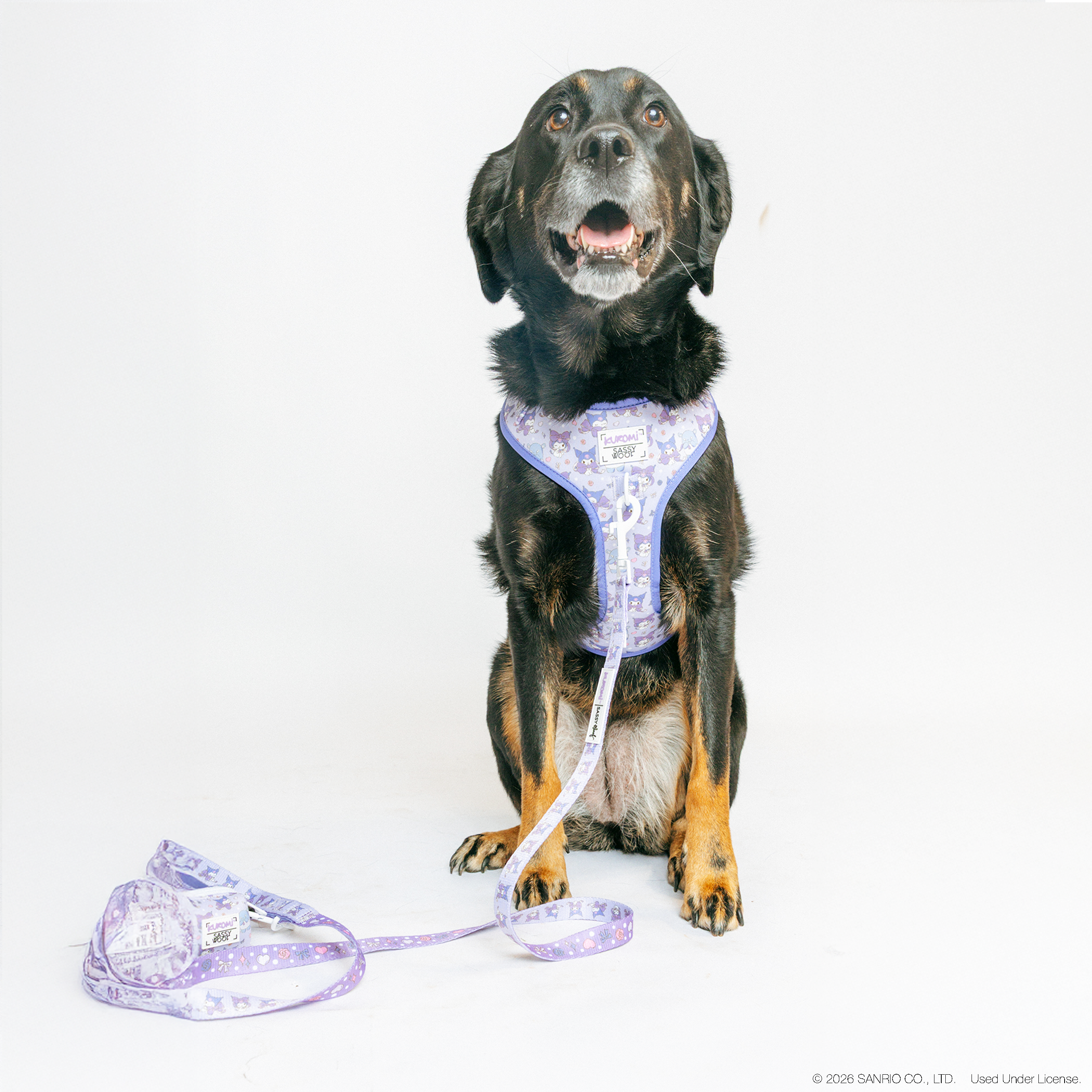 Dog Adjustable Harness - Kuromi™