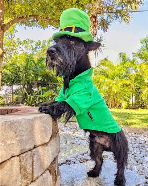 Parisian Pet Polo Dog Shirt