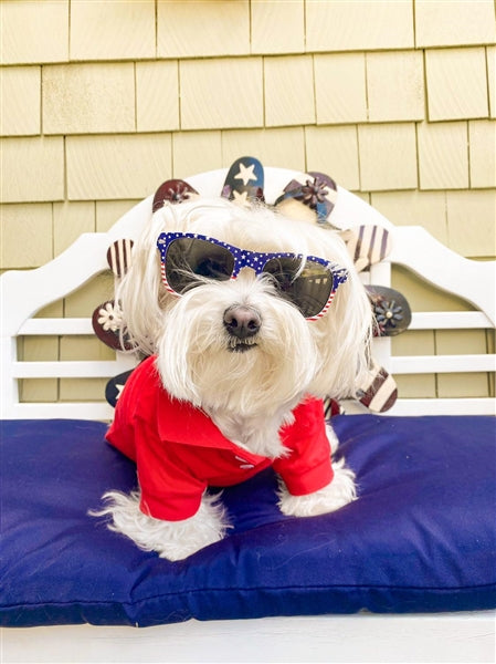 Parisian Pet Polo Dog & Cat T-Shirt  Stylish Cotton, Comfortable & Lightweight Summer Shirt  Red-Valentines Day
