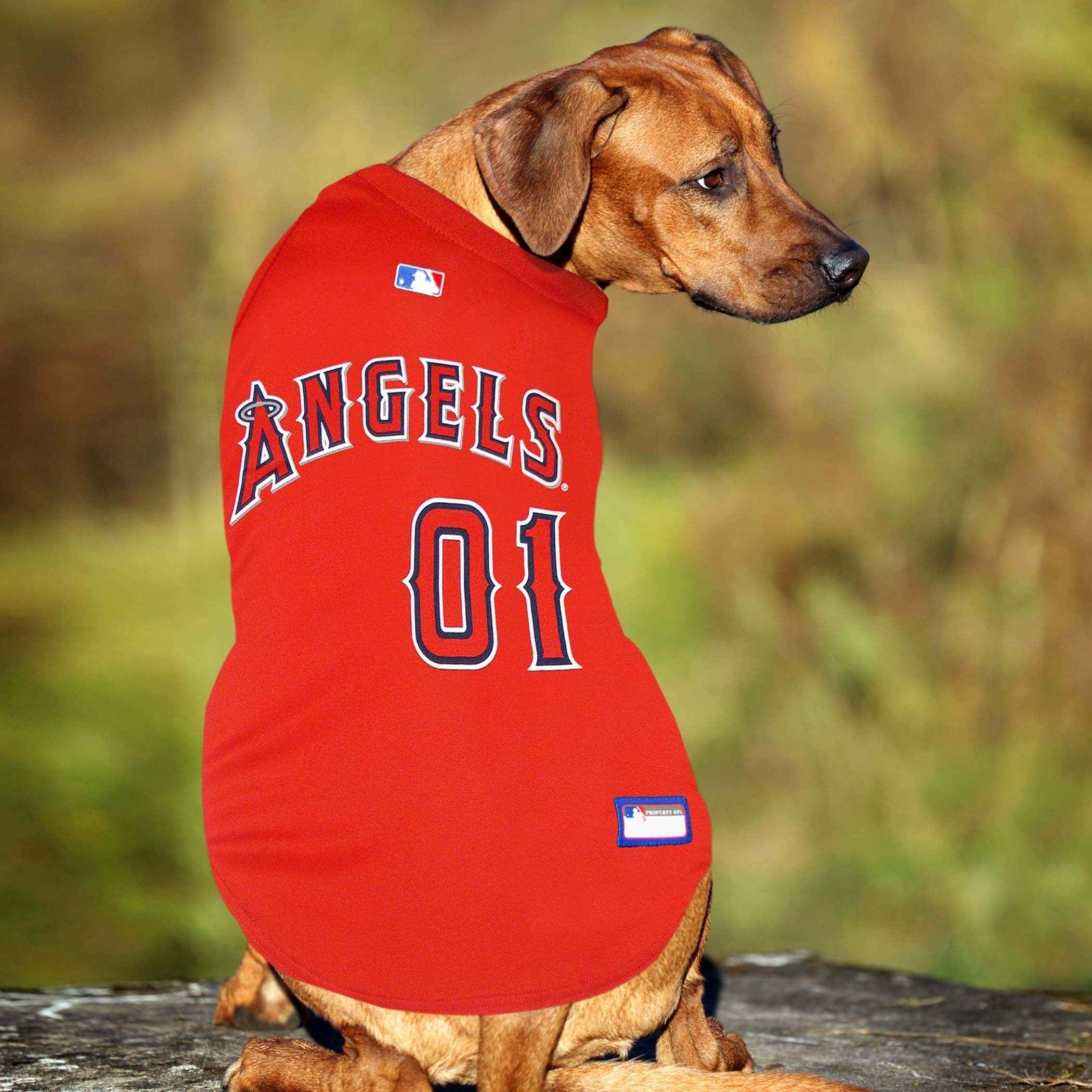 Los Angeles Angels Pet Jersey