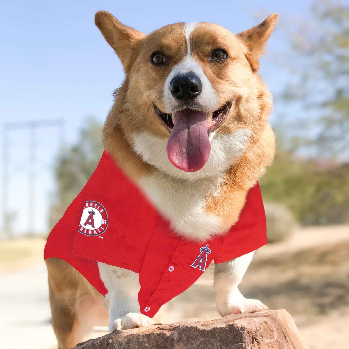 MLB Los Angeles Angels Mesh Pet Jersey