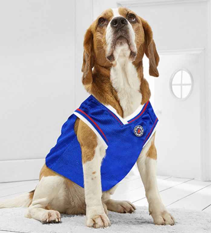 LA Clippers Basketball Mesh Jersey