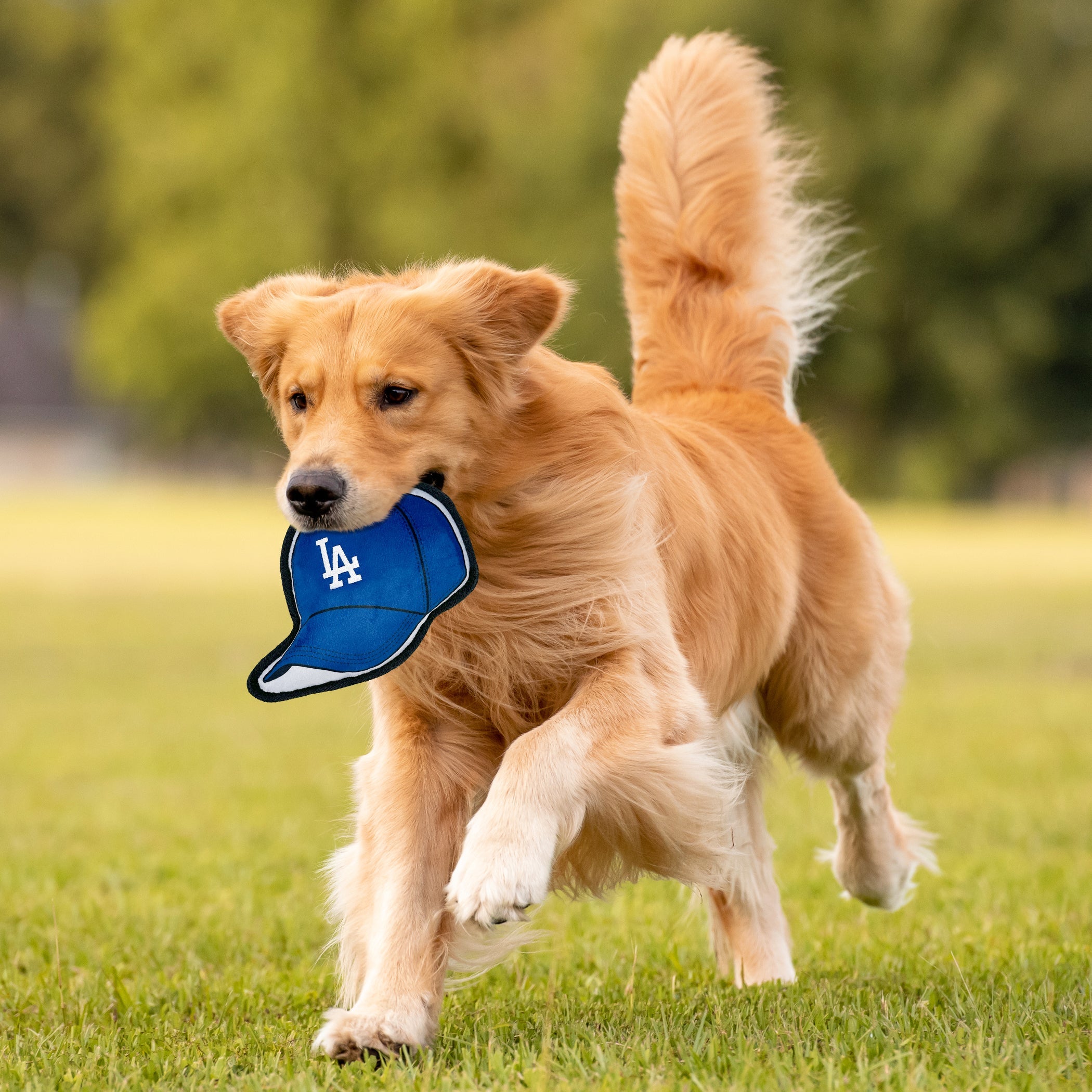 La Dodgers Baseball Cap Tough Toy