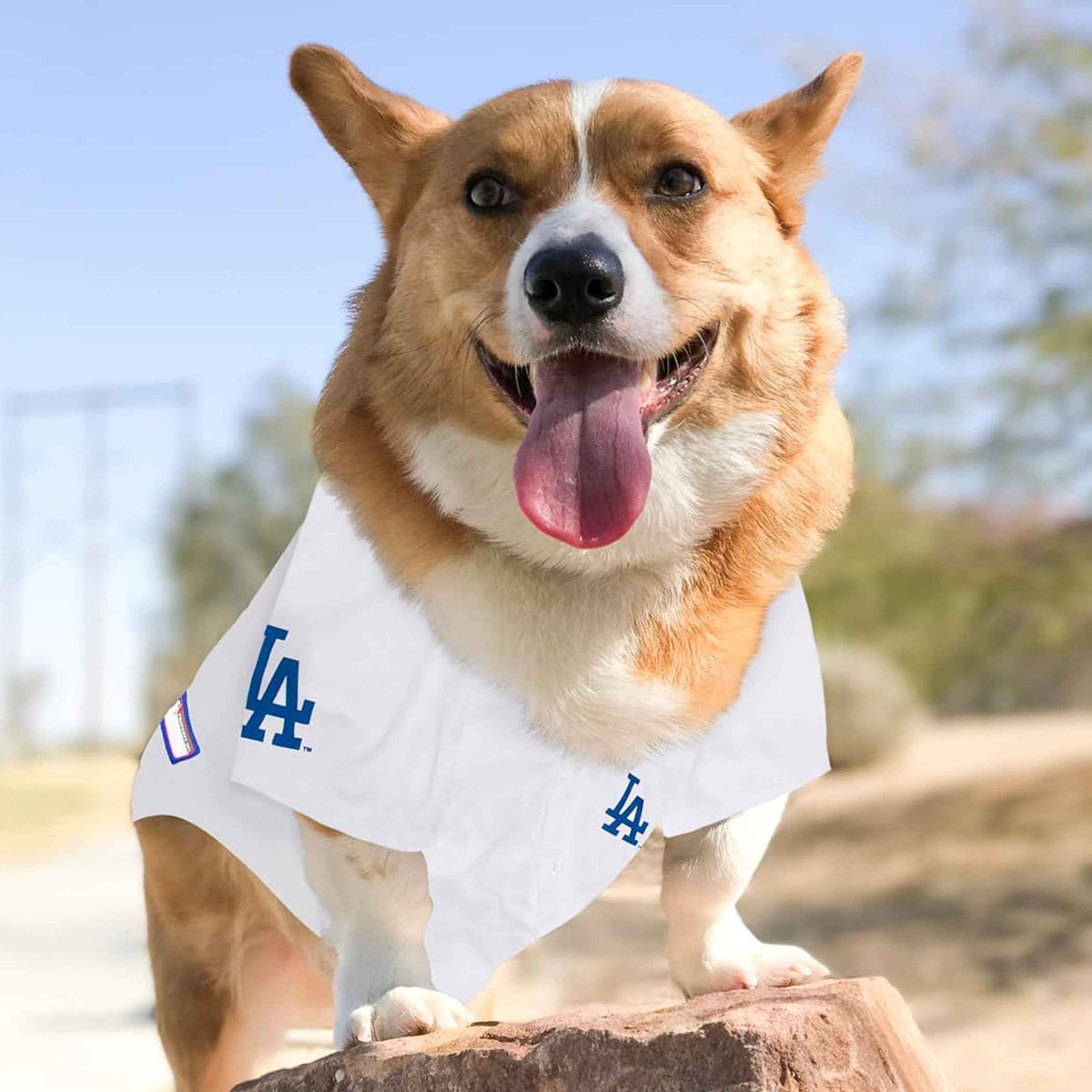 MLB Los Angeles Dodgers Mesh Pet Jersey