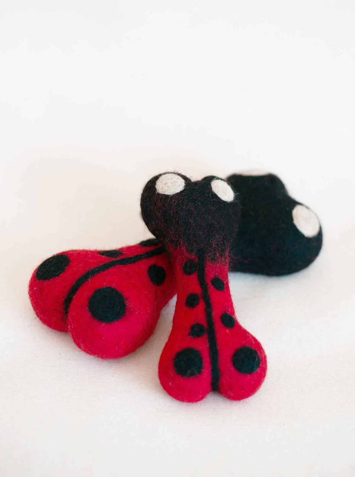 Ladybug Woolbone Dog Toy