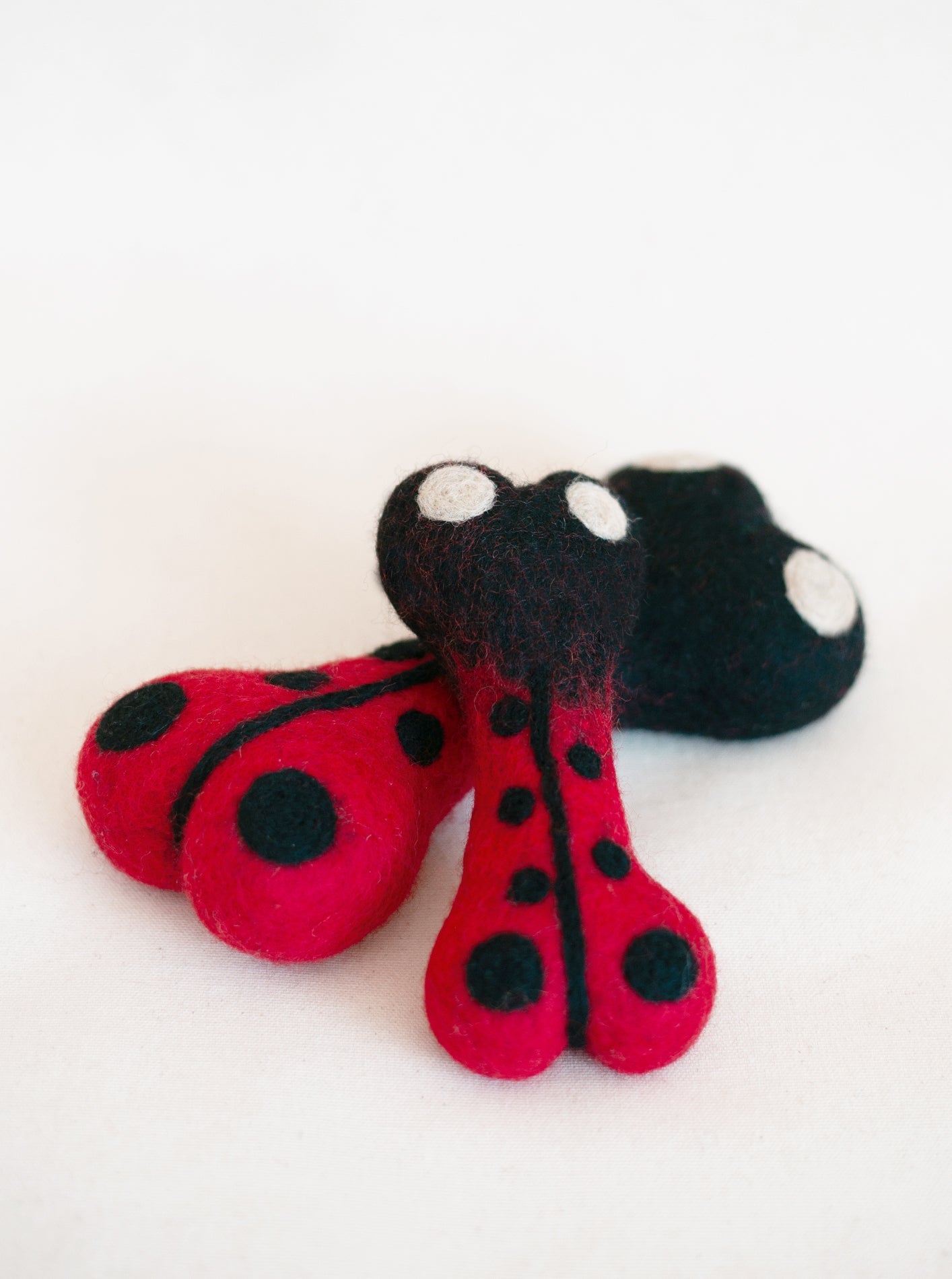 Ladybug Woolbone Dog Toy