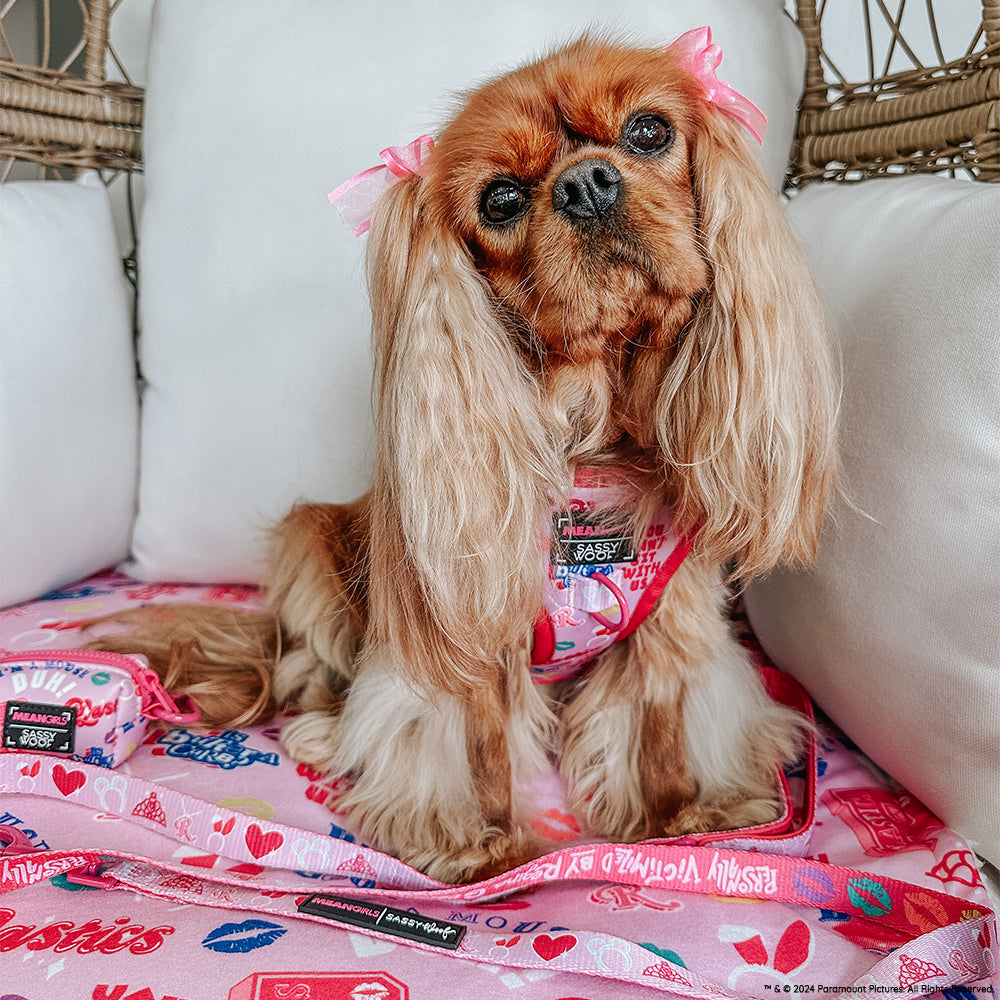 Dog Adjustable Harness - Mean Girls™