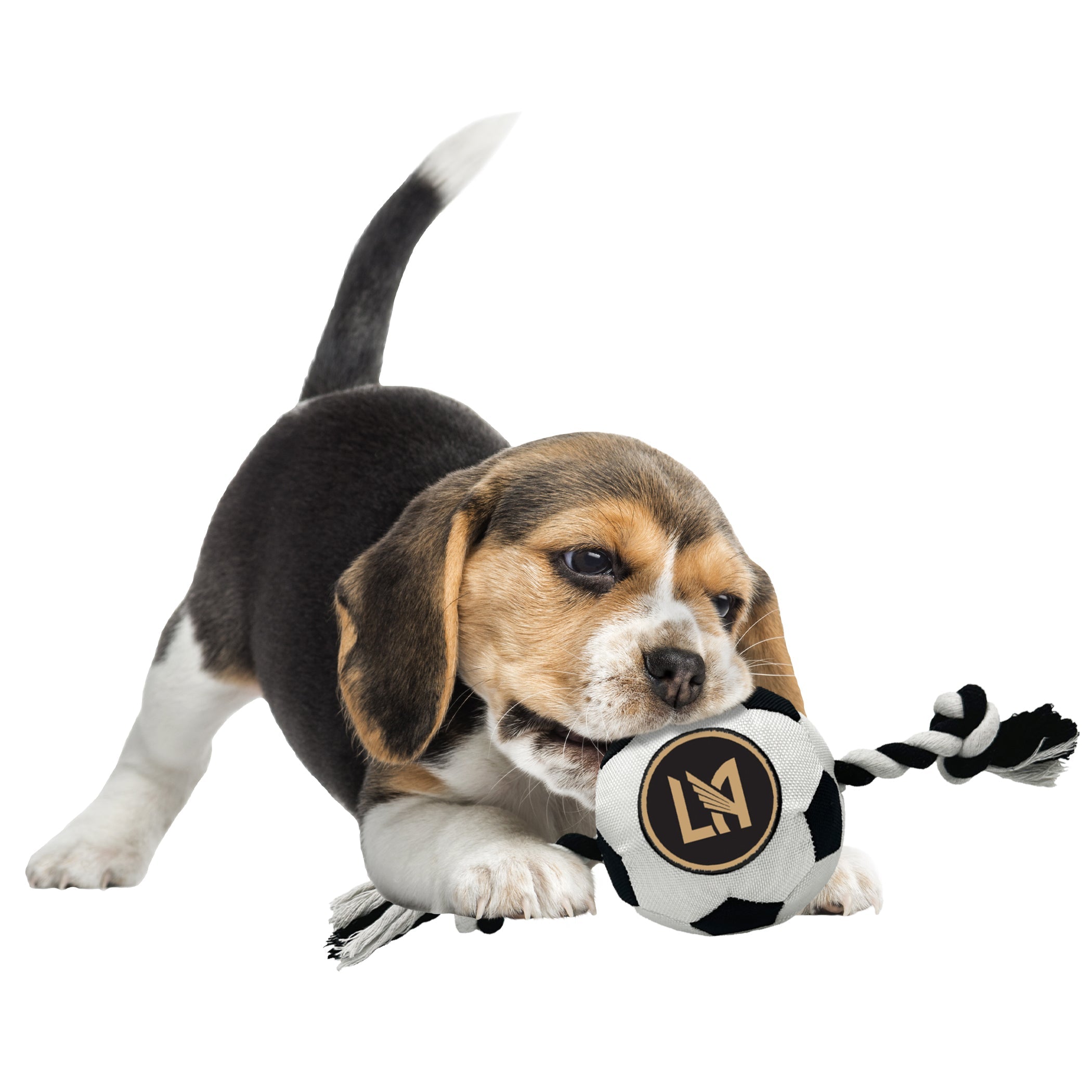 Los Angeles FC Soccer Ball Rope Toy