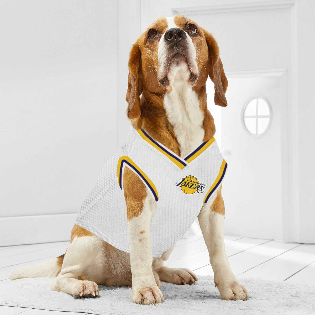 NBA Los Angeles Lakers Road Basketball Pet Jersey