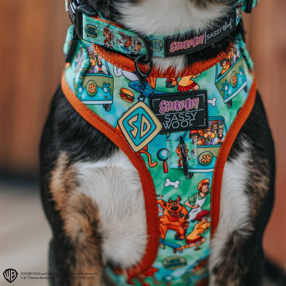Dog Collar - Scooby-Doo™