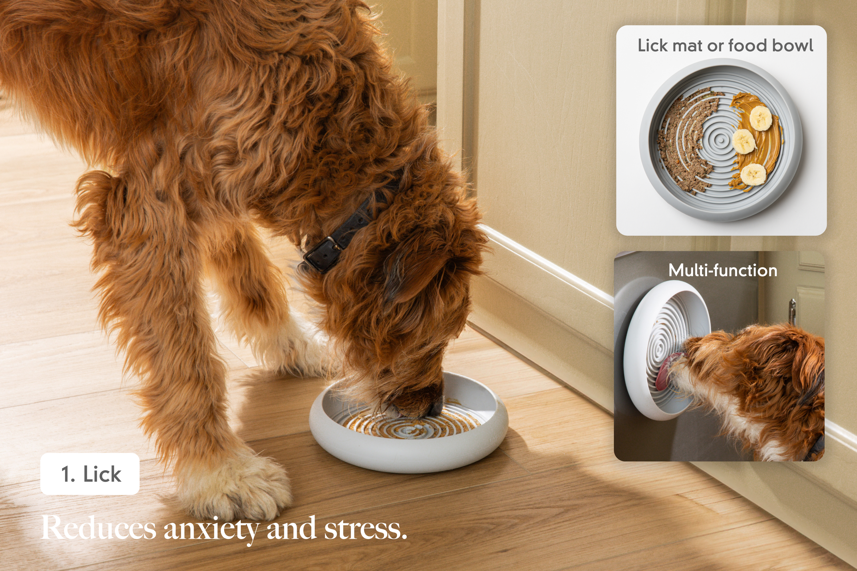 LAY LO Dog Enrichment Starter Bundle & Gift Box - HT Animal Supply