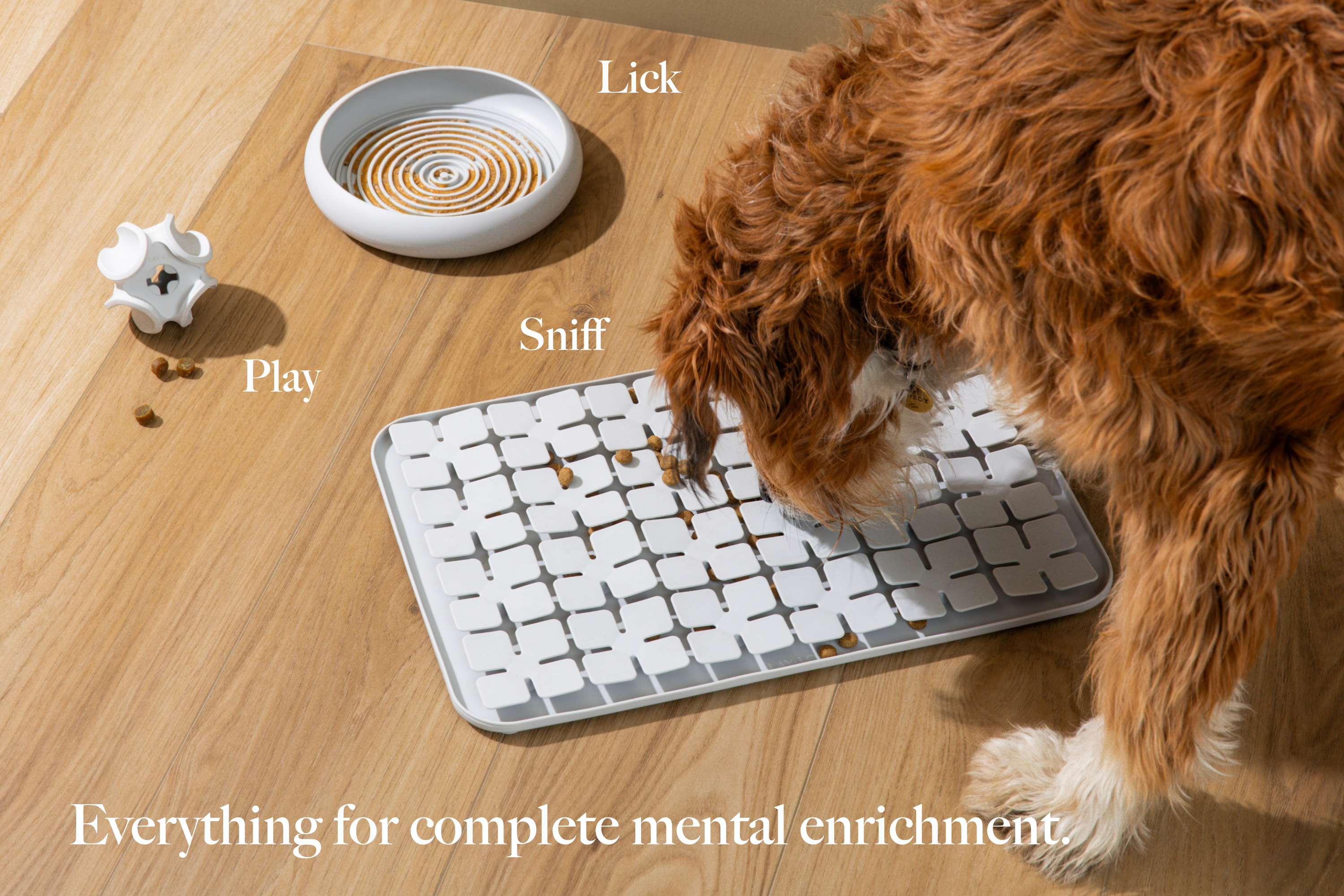 LAY LO Dog Enrichment Starter Bundle & Gift Box - HT Animal Supply