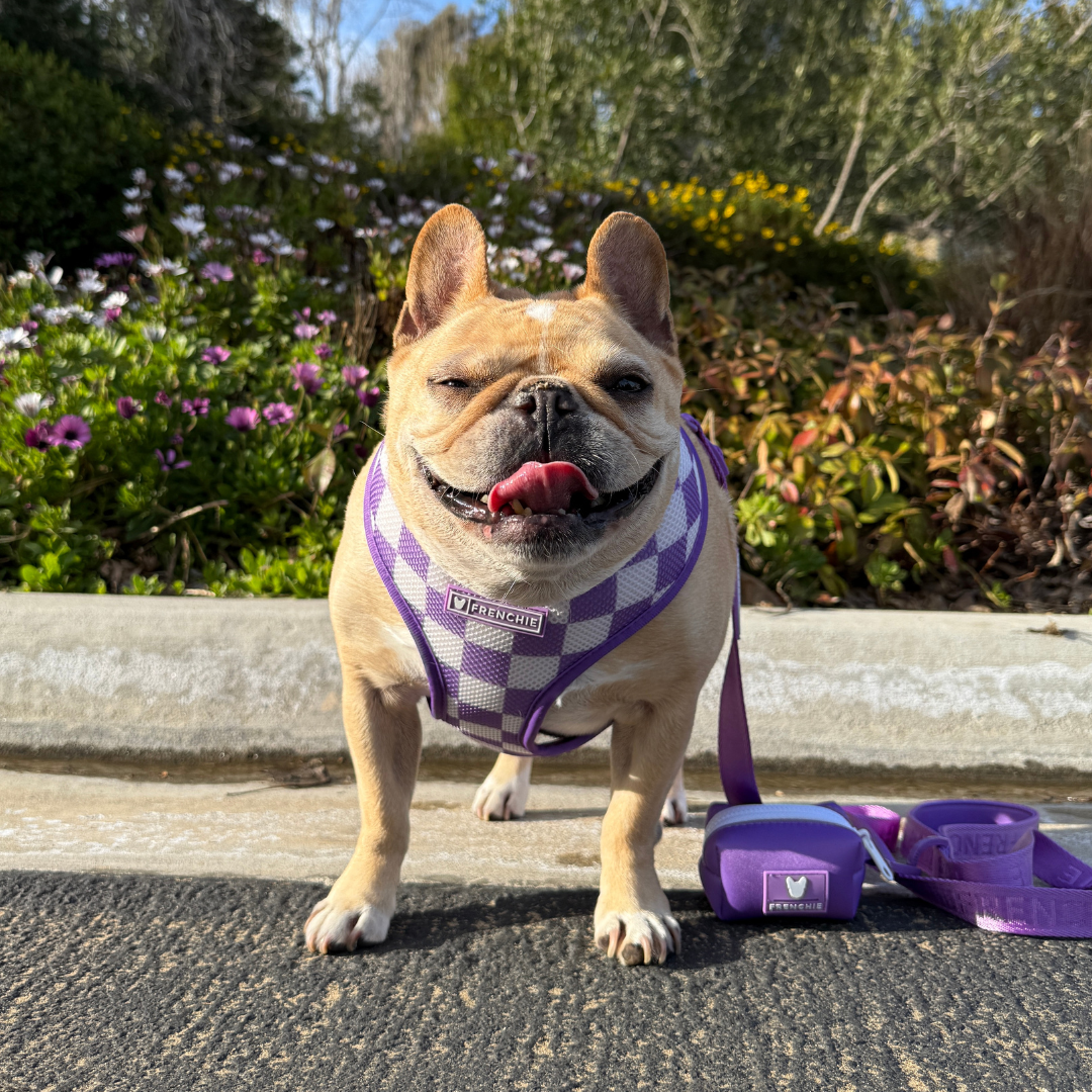 Frenchie Poo Bag Holder - LA Purple