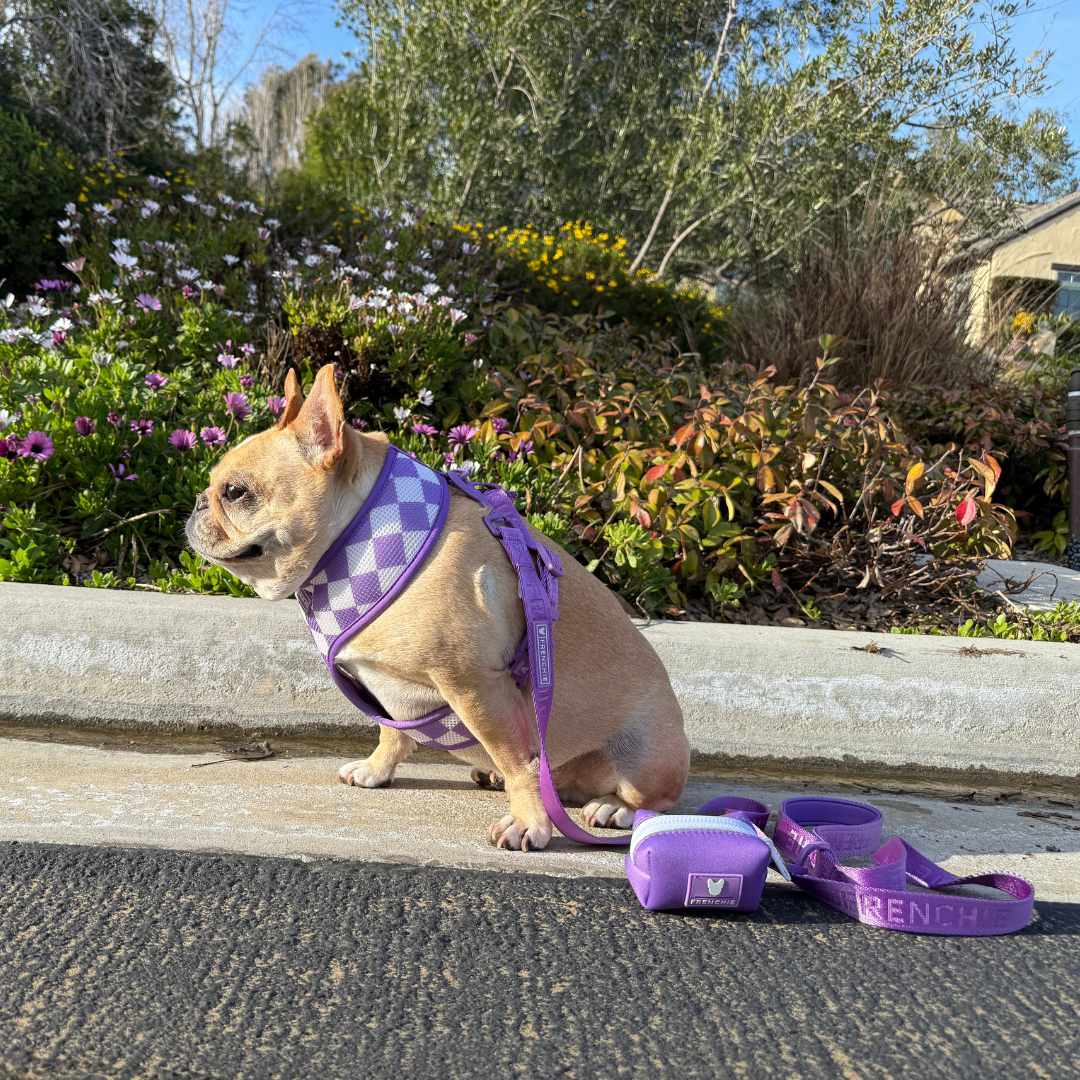 Frenchie Poo Bag Holder - LA Purple