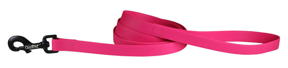 Raspberry Carnival Biothane Dog Collar / Lead