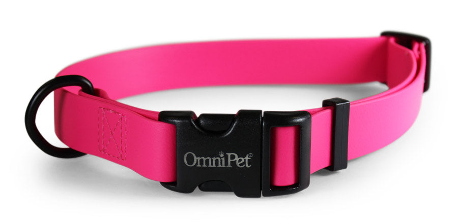 Raspberry Carnival Biothane Dog Collar / Lead
