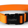 Tangerine Carnival Biothane Dog Collar / Lead