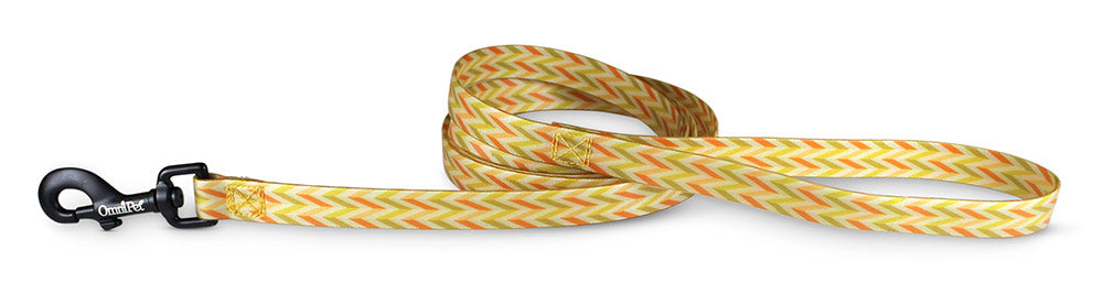 Carmel Attitudz Biothane Dog Collar / Lead