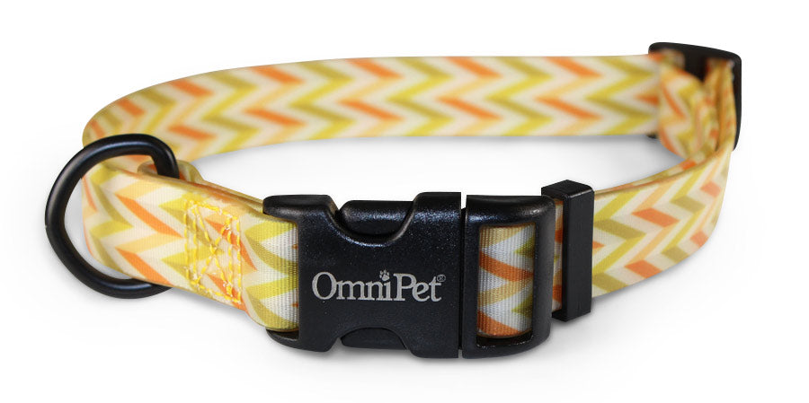 Carmel Attitudz Biothane Dog Collar / Lead