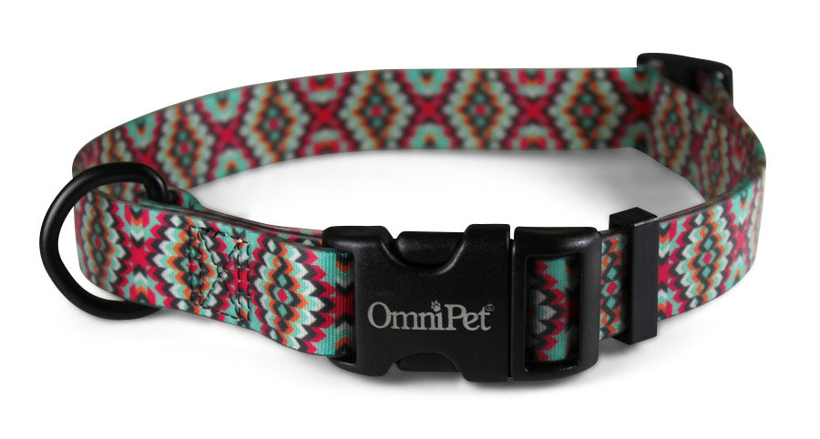 Aztek Attitudz Biothane Dog Collar / Lead