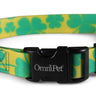 Lucky Gold Attitudz Biothane Dog Collar / Lead