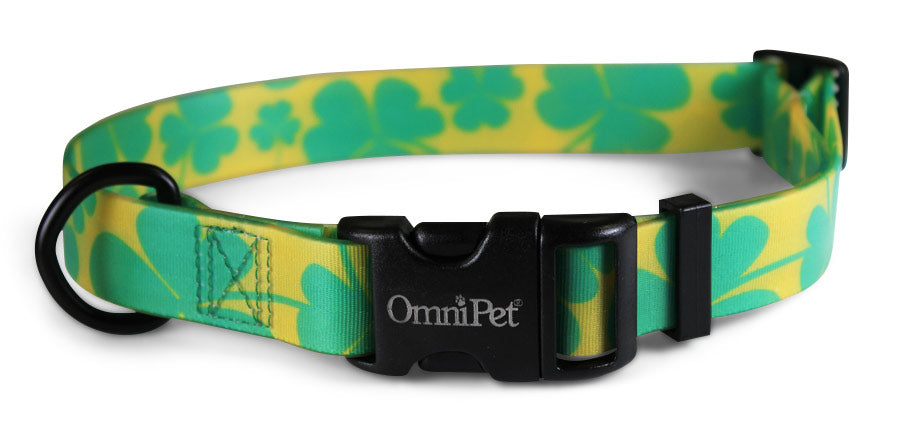 Lucky Gold Attitudz Biothane Dog Collar / Lead