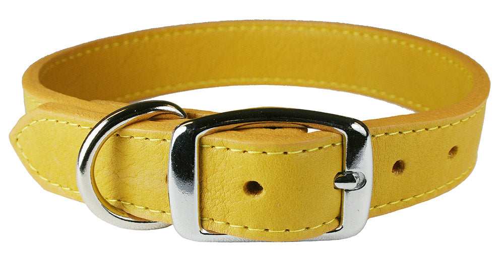 Golden Rod Luxe Leather Dog Collar / Lead