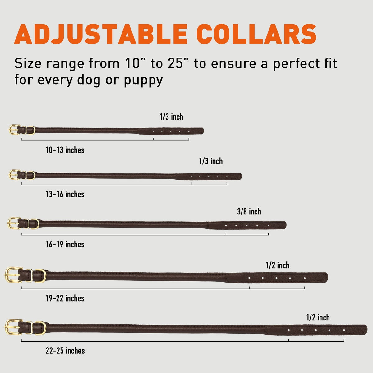 Dogline Soft Rolled Leather Dog Collar with Brass Hardware