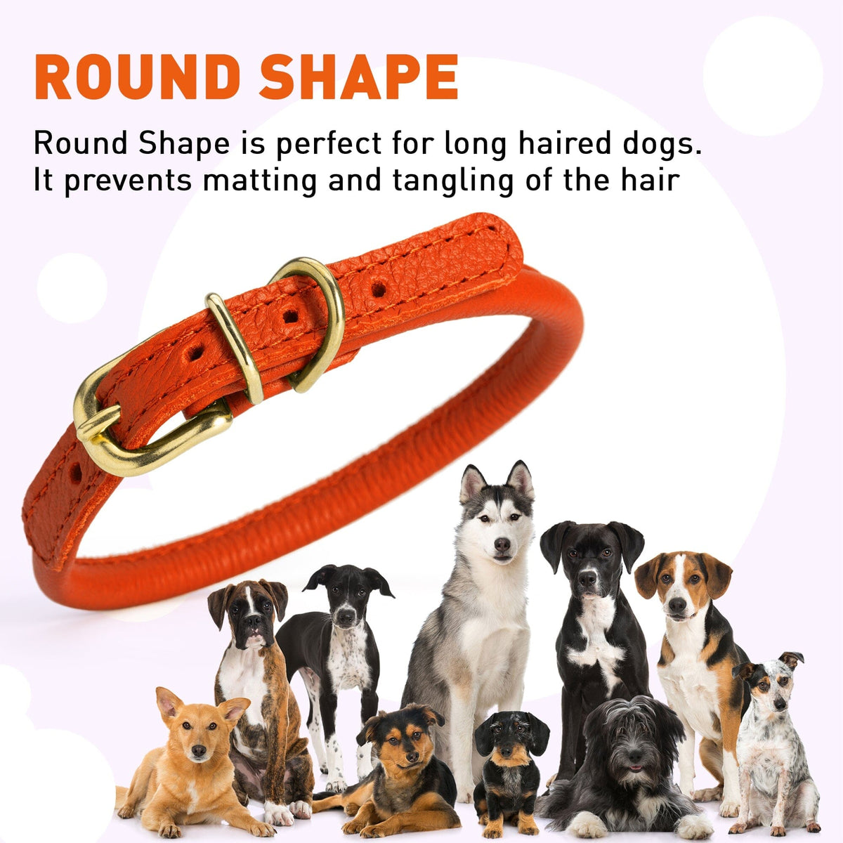 Dogline Soft Rolled Leather Dog Collar with Brass Hardware
