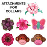 Attachments for Collars